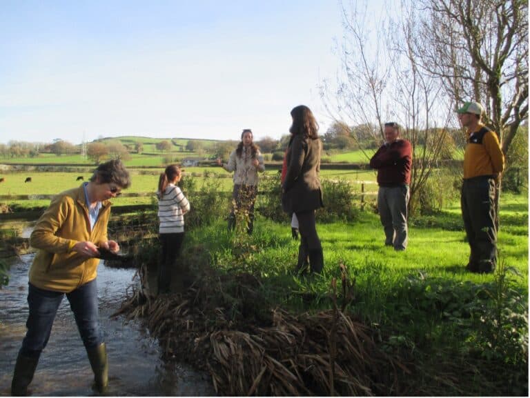 Progress on our Catchment Action Plan
