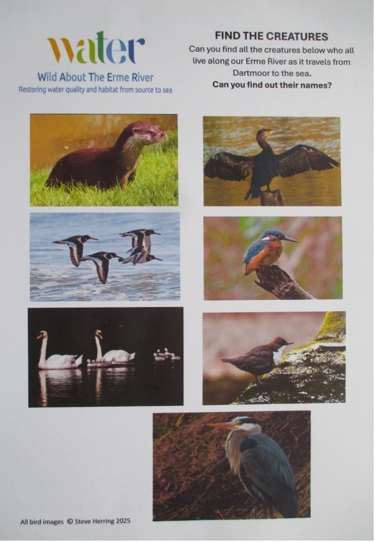 Find the creatures quiz