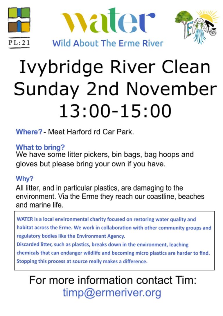 Ivybridge River Clean